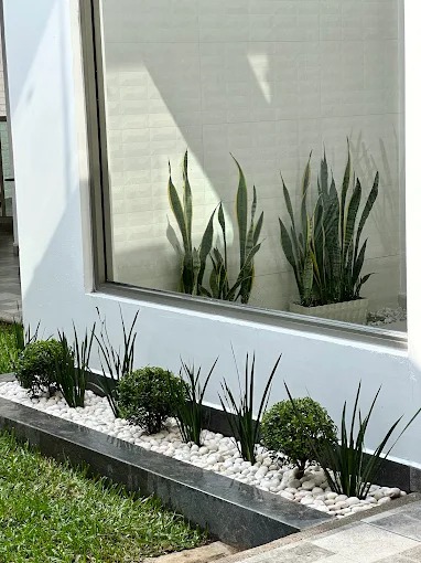 Trabajo de jardinería SEJACSA 3