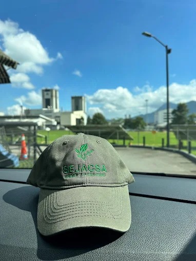 Trabajo de jardinería SEJACSA 5